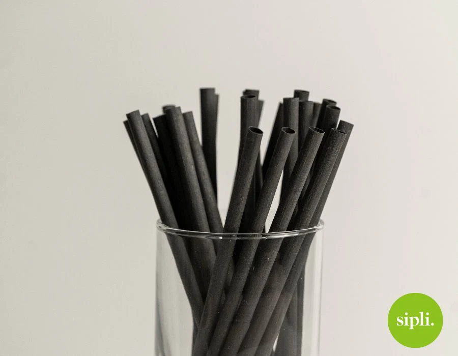 Black Plant-Based Standard Straws(Product of Canada) - Image 3