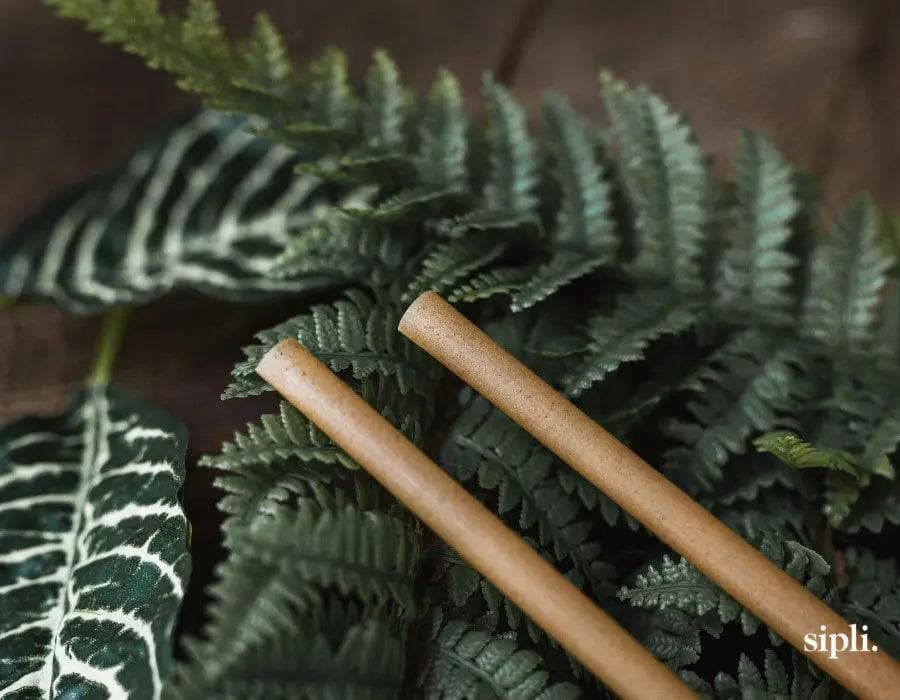 Plant-Based Standard Straws(Product of Canada) - Image 3